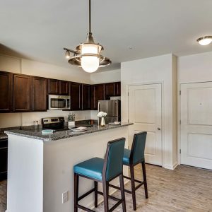 Model Unit Living Space