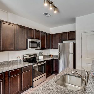 Model Unit Living Space