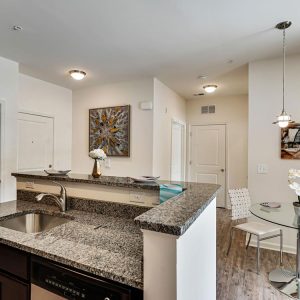 Model Unit Living Space