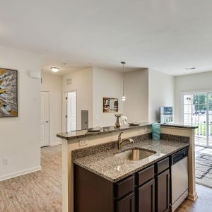 Model Unit Living Space