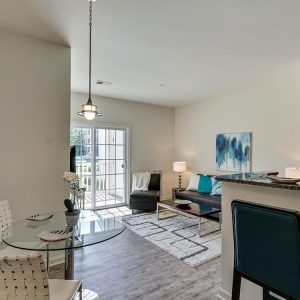 Model Unit Living Space