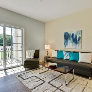 Model Unit Living Space