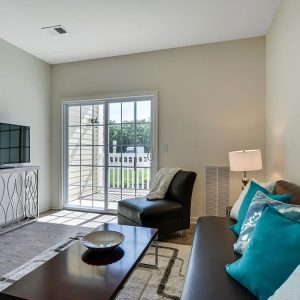 Model Unit Living Space