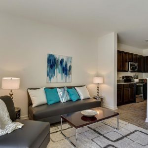 Model Unit Living Space