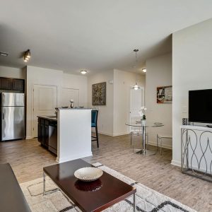 Model Unit Living Space