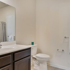 Model Unit Living Space