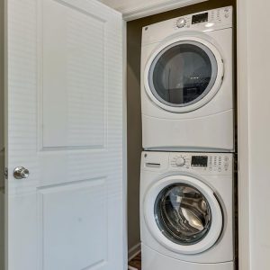 Model Unit Living Space