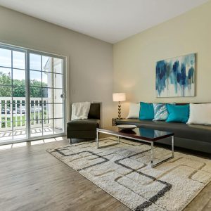 Model Unit Living Space